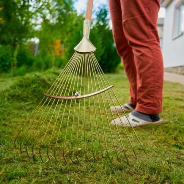 Stump Grinding Service